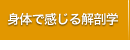 身体で感じる解剖学